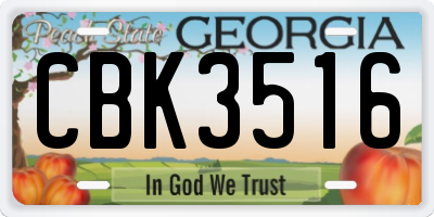 GA license plate CBK3516