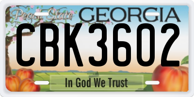 GA license plate CBK3602