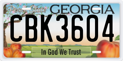 GA license plate CBK3604