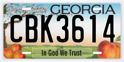 GA license plate CBK3614