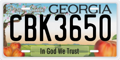 GA license plate CBK3650