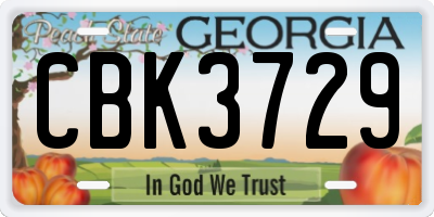 GA license plate CBK3729