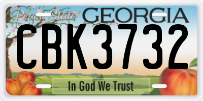 GA license plate CBK3732