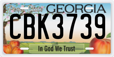 GA license plate CBK3739