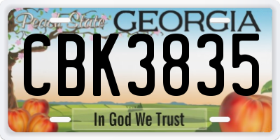 GA license plate CBK3835