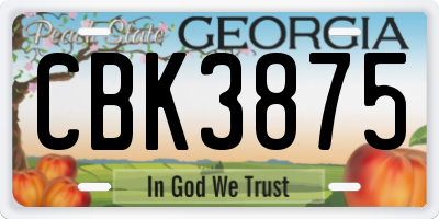 GA license plate CBK3875