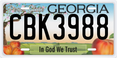 GA license plate CBK3988