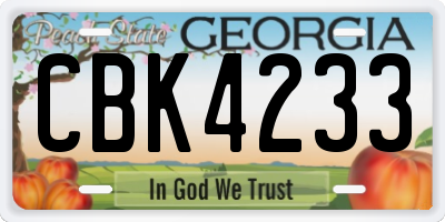 GA license plate CBK4233