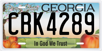 GA license plate CBK4289