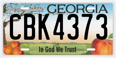 GA license plate CBK4373