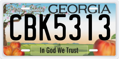 GA license plate CBK5313