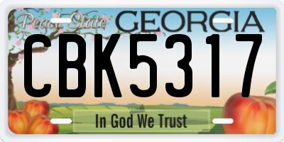 GA license plate CBK5317