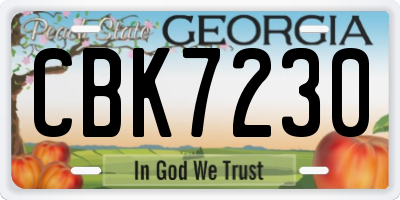GA license plate CBK7230