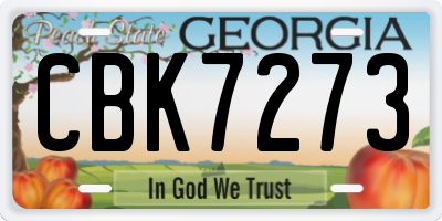 GA license plate CBK7273