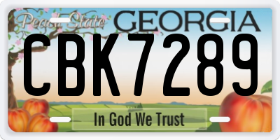 GA license plate CBK7289