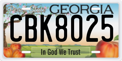 GA license plate CBK8025