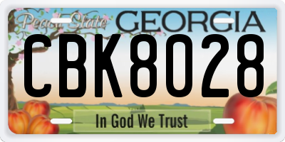 GA license plate CBK8028