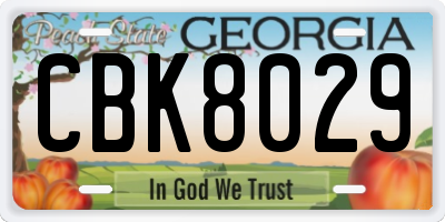 GA license plate CBK8029