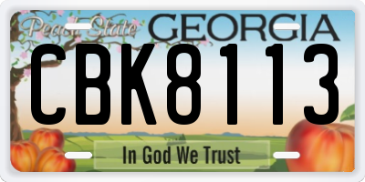 GA license plate CBK8113