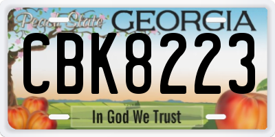 GA license plate CBK8223