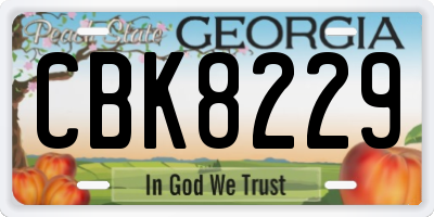 GA license plate CBK8229