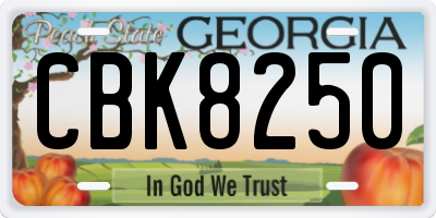 GA license plate CBK8250