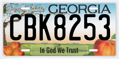 GA license plate CBK8253