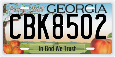 GA license plate CBK8502