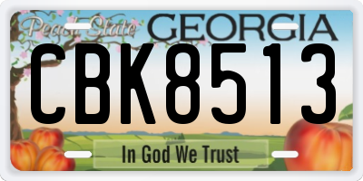 GA license plate CBK8513