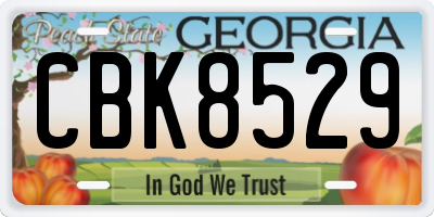 GA license plate CBK8529