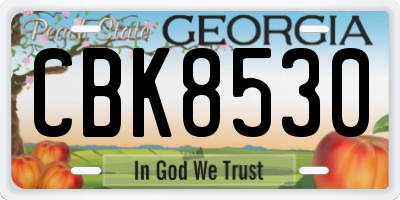 GA license plate CBK8530