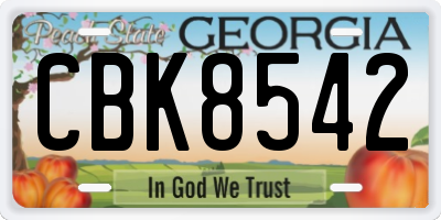 GA license plate CBK8542
