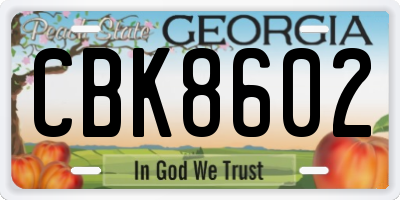 GA license plate CBK8602