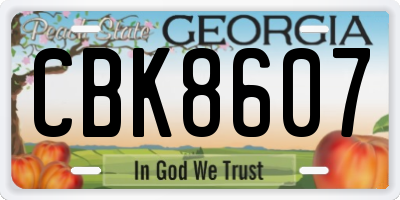GA license plate CBK8607