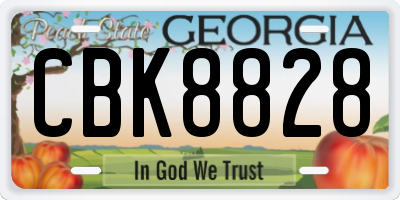 GA license plate CBK8828