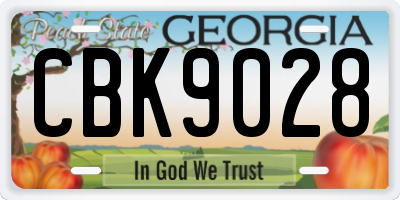 GA license plate CBK9028