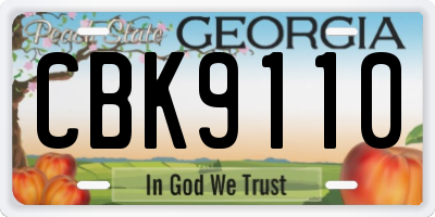 GA license plate CBK9110