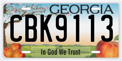 GA license plate CBK9113