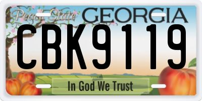 GA license plate CBK9119