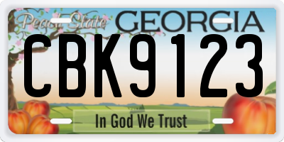 GA license plate CBK9123