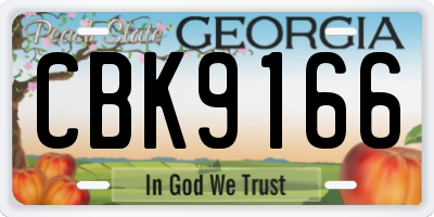 GA license plate CBK9166