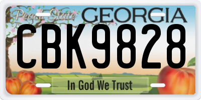 GA license plate CBK9828
