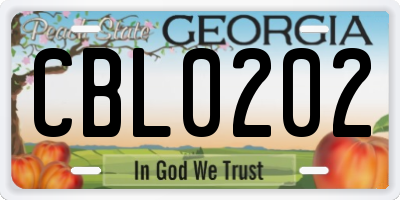 GA license plate CBL0202