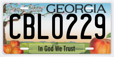GA license plate CBL0229