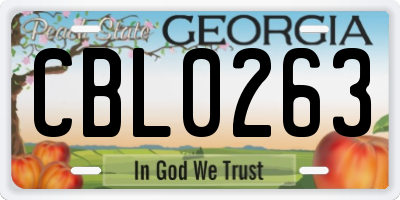 GA license plate CBL0263