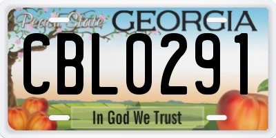 GA license plate CBL0291
