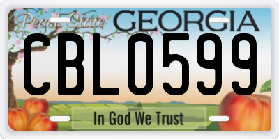 GA license plate CBL0599