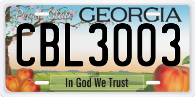 GA license plate CBL3003