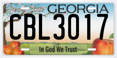 GA license plate CBL3017