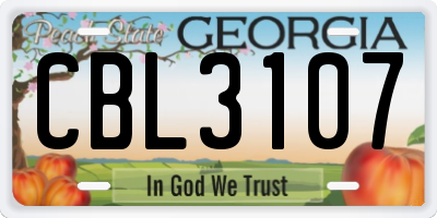 GA license plate CBL3107